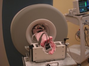 Premature newborn in small-bore MRI magnet-courtesy Cincinnati Children's
