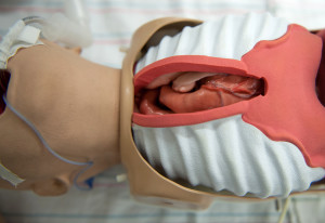 Surgical Sam beating heart pediatric trainer mannequin simulation Simulator Program The Chamberlain Group