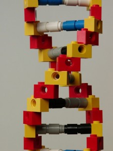 DNA with legos