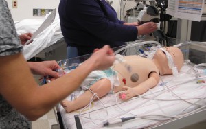 Baby Simulation