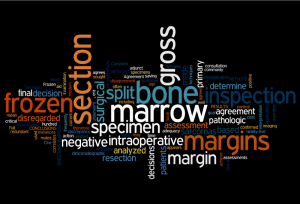 Wordle graphic of words associated with bone tumor surgery and intraoperative assessment.