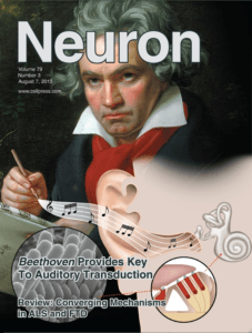 Nature cover-Beethoven mice-TMC-deafness
