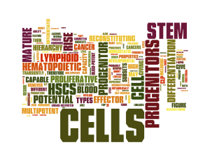Word cloud of words associated with hematopoietic stem cells and blood development.