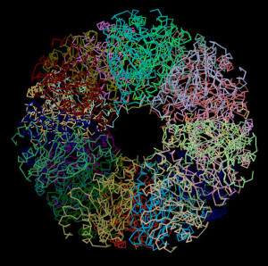 The proteasome recycles old, unused, or misfolded proteins, and could be a powerful target for some forms of breast cancer.