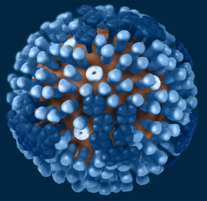 3D reconstruction of an influenza virus