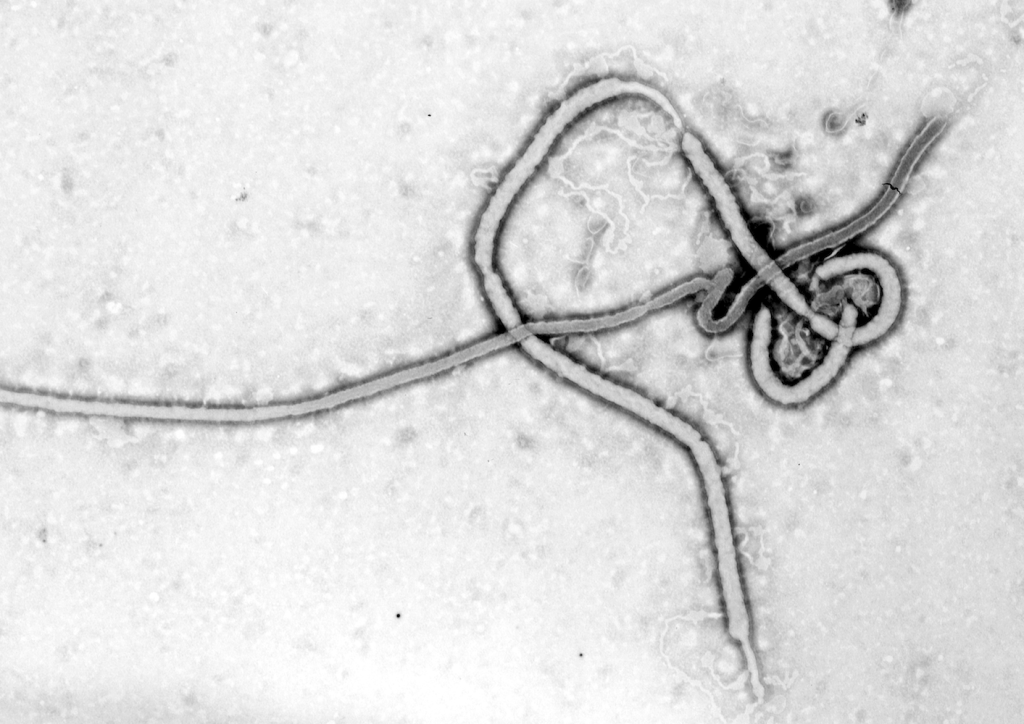 Ebola virus ethics experimental treatment therapy ZMapp