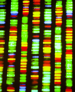 Gene Discovery Core rare disease